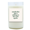 Talking To Her Cats Again Hand Poured Soy Candle | Furbish & Fire Candle Co.